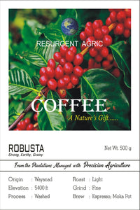 Robusta Washed (Light - Fine)