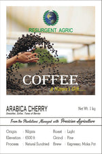 Load image into Gallery viewer, Arabica Cherry (Light - Fine)
