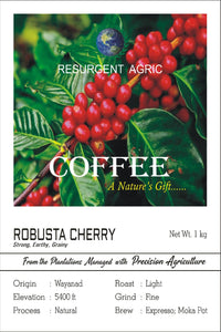 Robusta Cherry (Light - Fine)