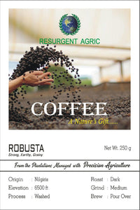 Robusta Washed (Dark - Medium)